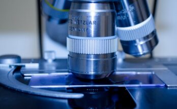 Científicos rusos descubren bacteria capaz de sobrevivir en Marte