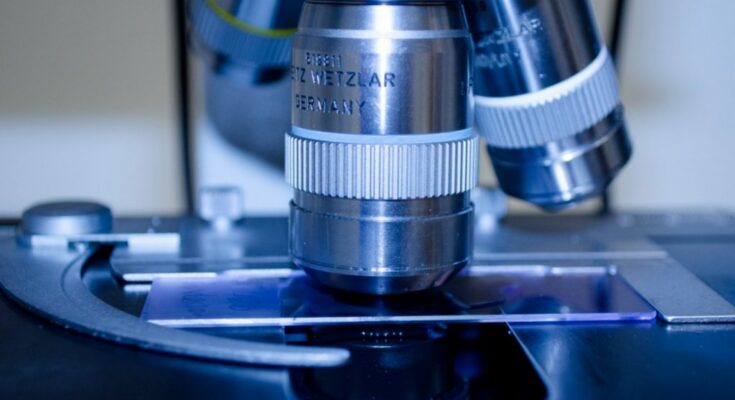 Científicos rusos descubren bacteria capaz de sobrevivir en Marte