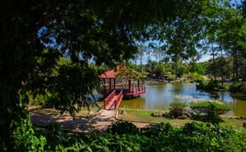 Jardín Botánico Nacional: Residuos forestales podrán convertirse en energía renovable