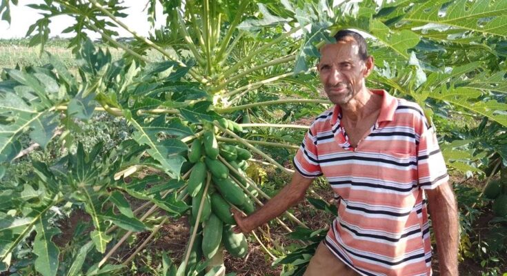 Fidencio Rodríguez Maya, Florida Producer Awarded Vanguard (+Audio and Photo)