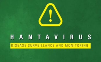 OMS considera bajo el riesgo de brote del virus Hanta en Vietnam