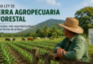 La tierra entra en una nueva etapa: Qué cambia con la futura Ley de Tierra Agropecuaria y Forestal (+ Infografía)