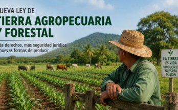 La tierra entra en una nueva etapa: Qué cambia con la futura Ley de Tierra Agropecuaria y Forestal (+ Infografía)