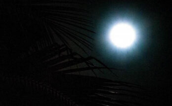 Eclipse parcial de Luna será visible en Cuba