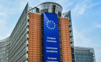 Política de Bruselas lleva a la UE al abismo, advierte Georgia