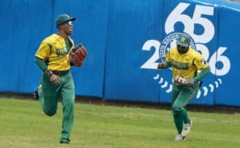 Serie Nacional: Vegueros arden y Avispas defienden su nido