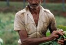 Cuba: ADN, Memoria e Identidad