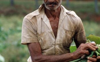 Cuba: ADN, Memoria e Identidad