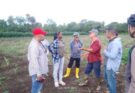 Evaluan servicios básicos y producción lechera en la comunidad Algarrobo, en Florida (+Post)