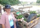 Celebran en Florida Día de la mujer Rural (+Post)
